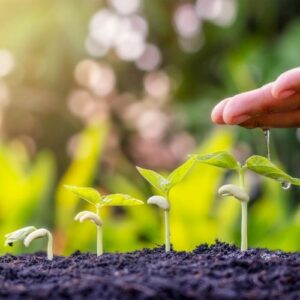 Économiser l'eau dans les espaces verts